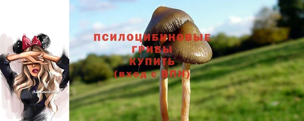 винт Мегион