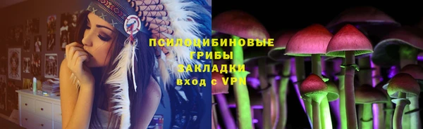 ПСИЛОЦИБИНОВЫЕ ГРИБЫ Медвежьегорск
