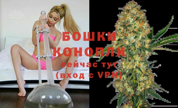 винт Мегион