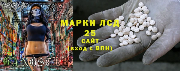 ПСИЛОЦИБИНОВЫЕ ГРИБЫ Медвежьегорск