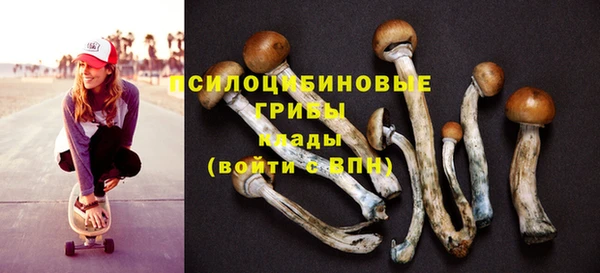 винт Мегион