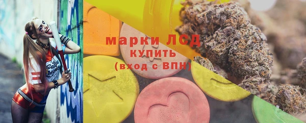 сатива Медногорск