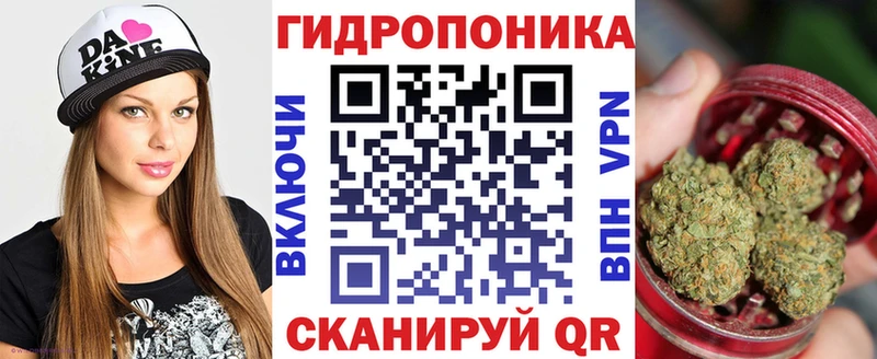 Марихуана MAZAR  Купить закладки  Ковылкино 